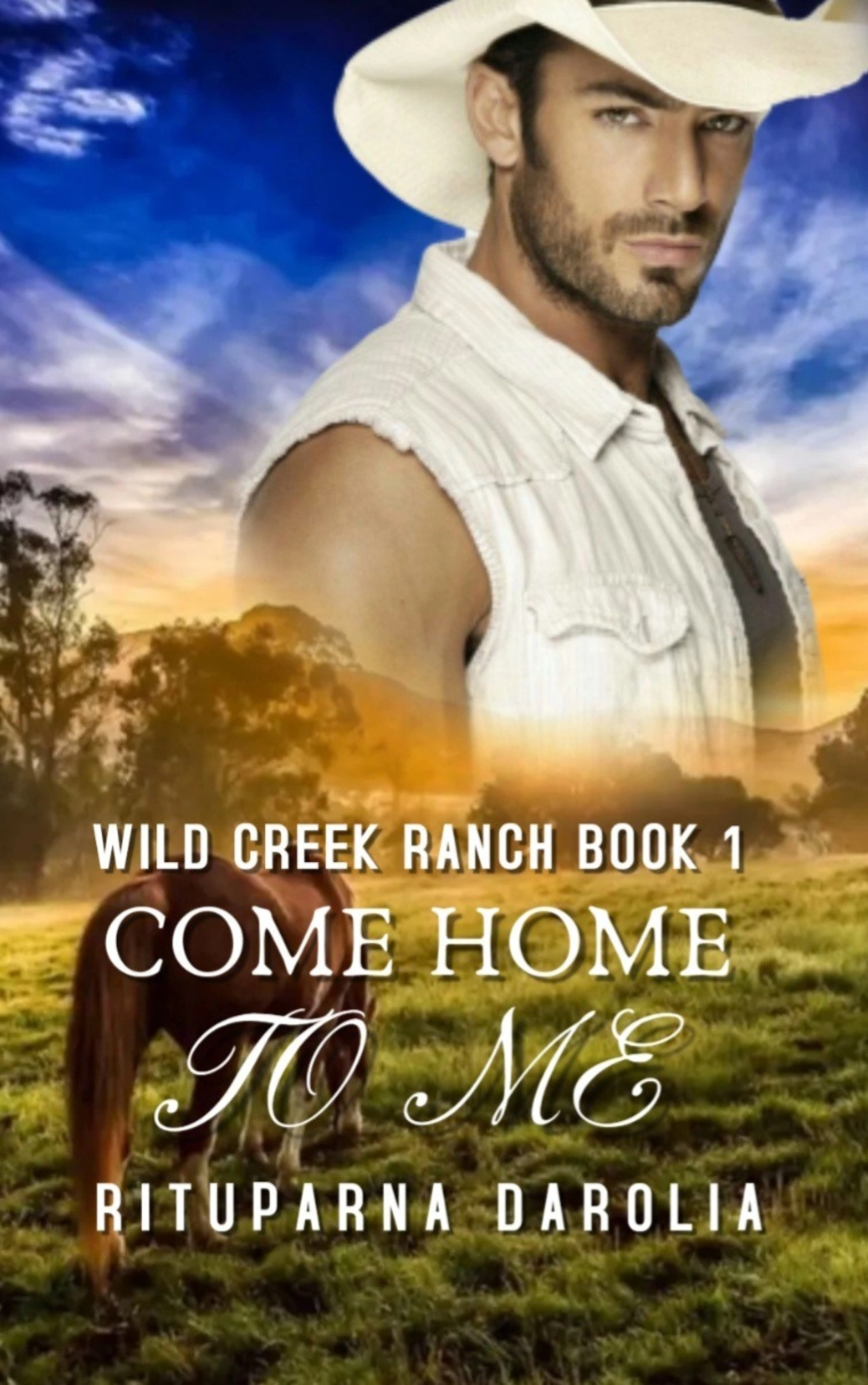 Come Home To Me (Wild Creek Ranch Book 1) Sample/ Kindle Book
